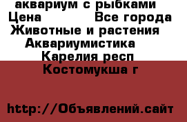 аквариум с рыбками › Цена ­ 1 000 - Все города Животные и растения » Аквариумистика   . Карелия респ.,Костомукша г.